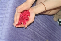 Thumnail / 1 / 10 / 49